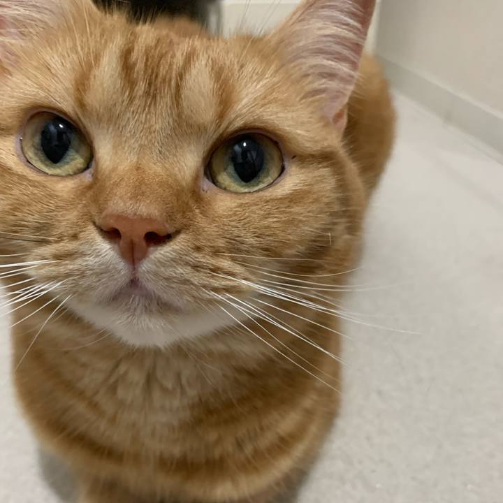 D403888b c95f 4d1b b0aa ab888870992e 1622245355795