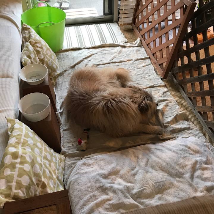 D4038dff 4d0d 4df7 a330 59e3c8ff81e0 1551132056453