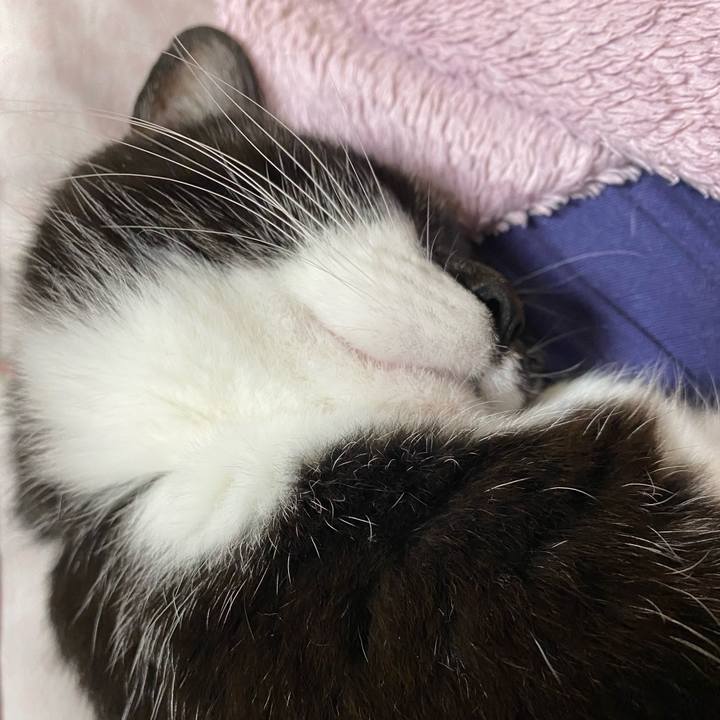 D4039d19 21f5 4e88 b251 ba0fef072f76 1675750771111