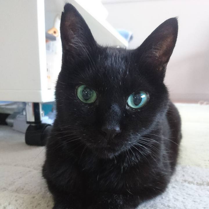 D403adce e915 4c2b 9606 30da7b7c9482 1531345445165