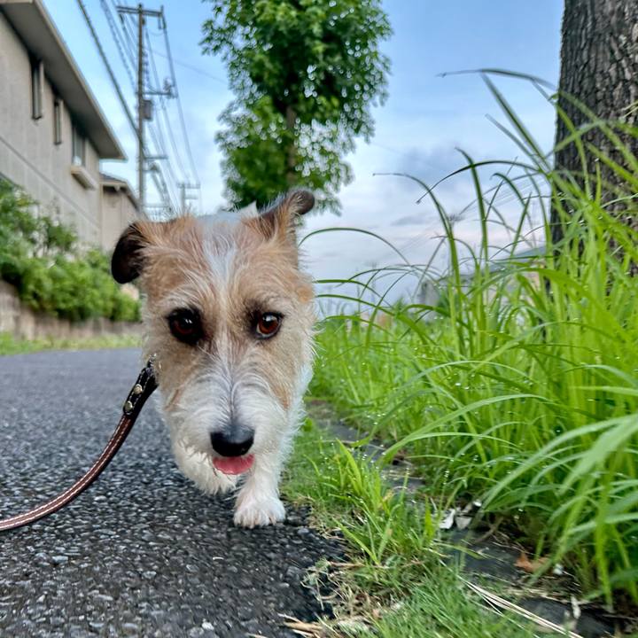 D403de46 42c3 484d 8895 e2b41d841a9b 1722151507027