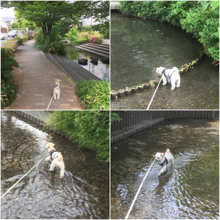 D403ed2d f00d 4a9b 94c8 46ba1d4a27a3 1558175914149