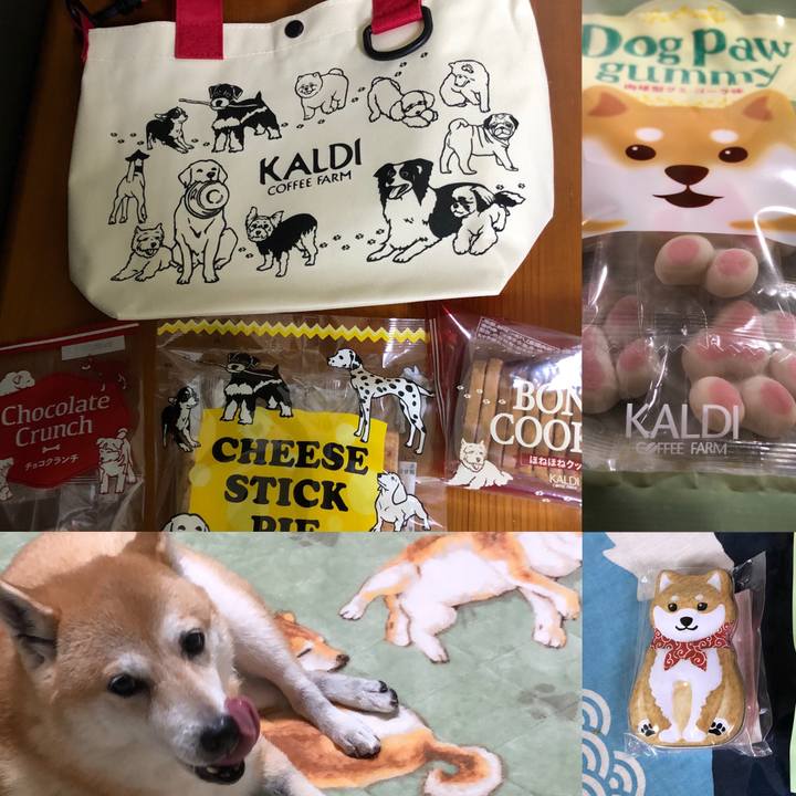 D4040871 4667 4f18 965b 7ce95a25c98c 1572610518192