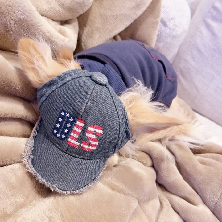 D404217d b27f 47b9 ad3d a79854974f1e 1740483659220