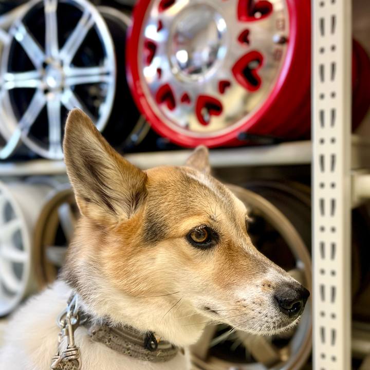 D4042254 c0e6 4367 865a 2477c284dbba 1763615007571