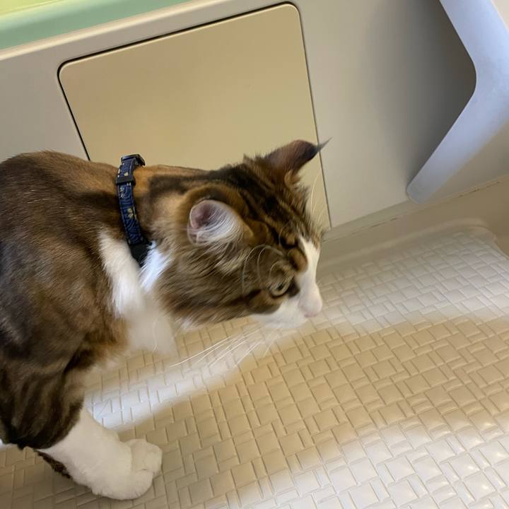 D4043007 b4bd 47f7 a2b2 02094b8d84eb 1659533277303