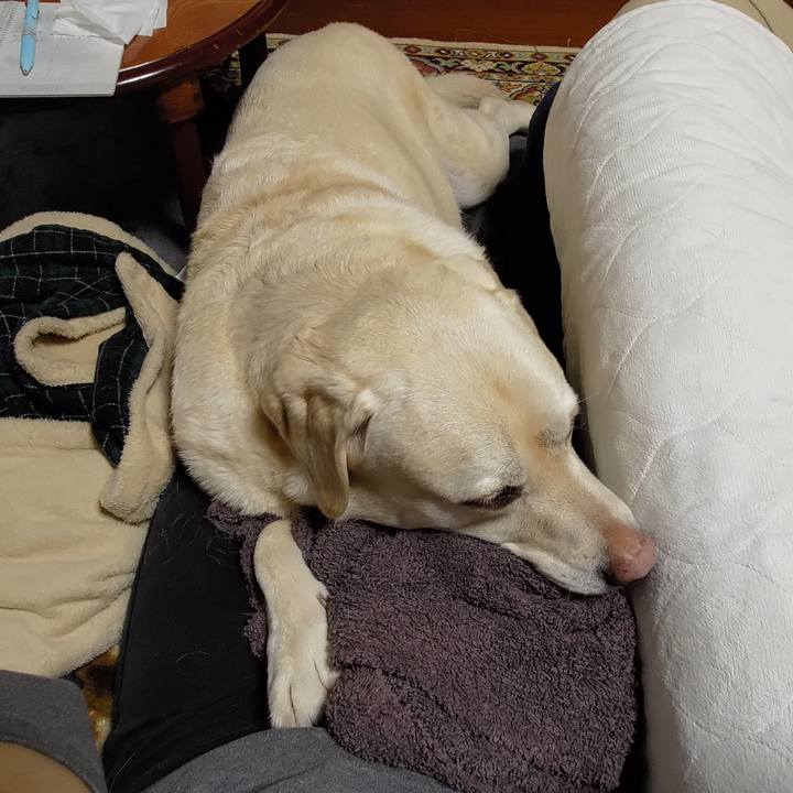 D40443bb 1fd2 4ca9 8d8a 22b2901f2860 1702265473568