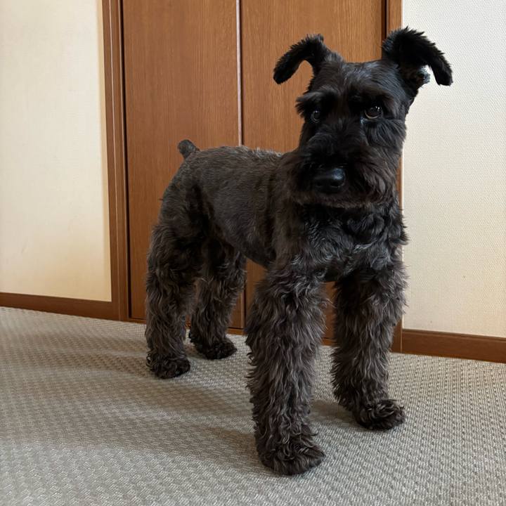 D4045544 2da3 4a05 ae98 132c651721c8 1752370228454