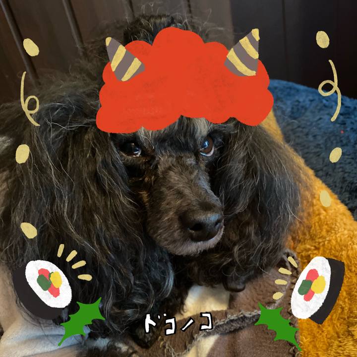 D4047a7d 4d48 4128 bf6f 0bb4a6422c9e 1706969392799