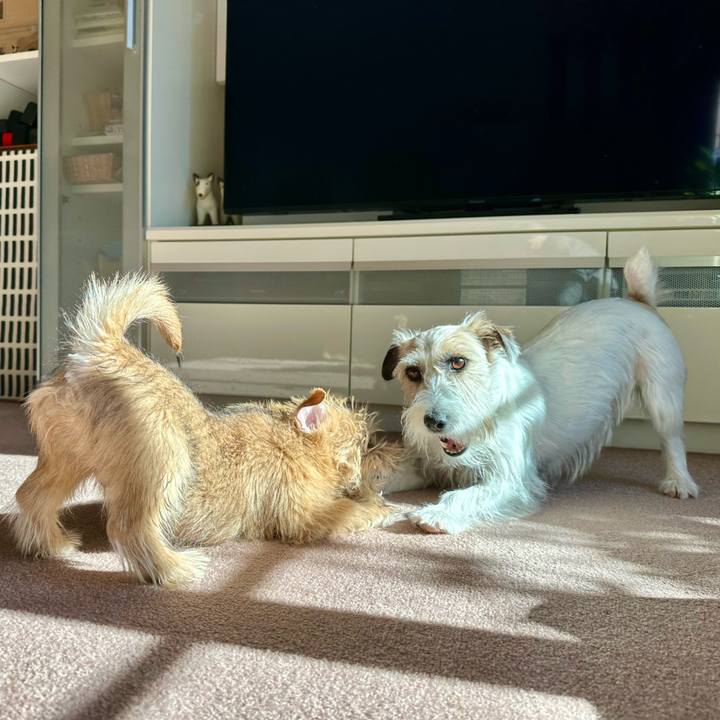 D404c103 2ce0 4565 abcd 69c81a32af60 1703774090285