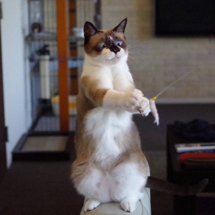 D404c22f 1c27 40e8 8323 a68bbf60c4c5 1568633054602