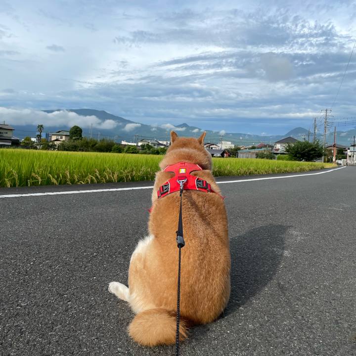 D404c460 0f6b 4625 86d8 13f2ad24a323 1662729496948