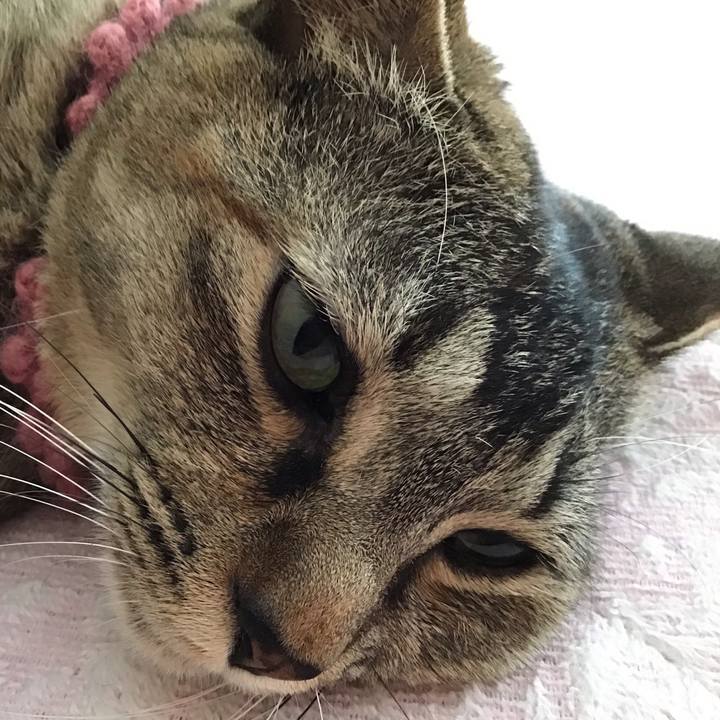 D404dc91 e232 4013 933b 345a2009ff8e 1591860549955