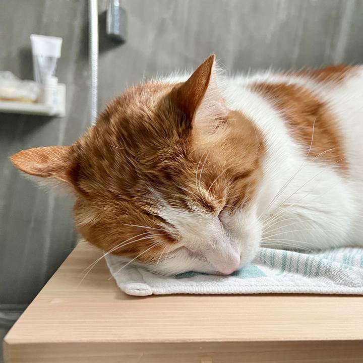 D404e362 8797 49c1 9e19 4ce8c3bdd99d 1768699633064