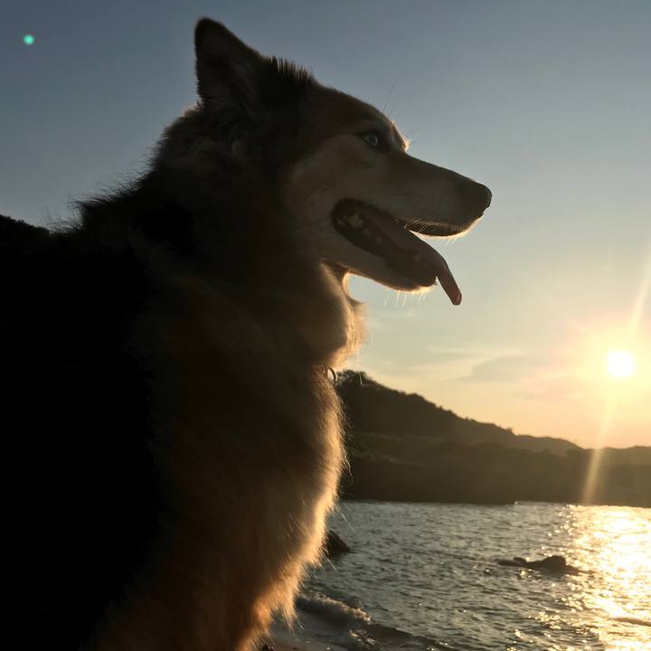 D404f25c 0887 46c4 86f7 b50a1df7b4fa 1562749891937