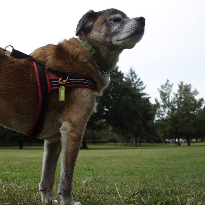 D4051418 bbb5 46d6 b855 1e84f648c607 1572739931957