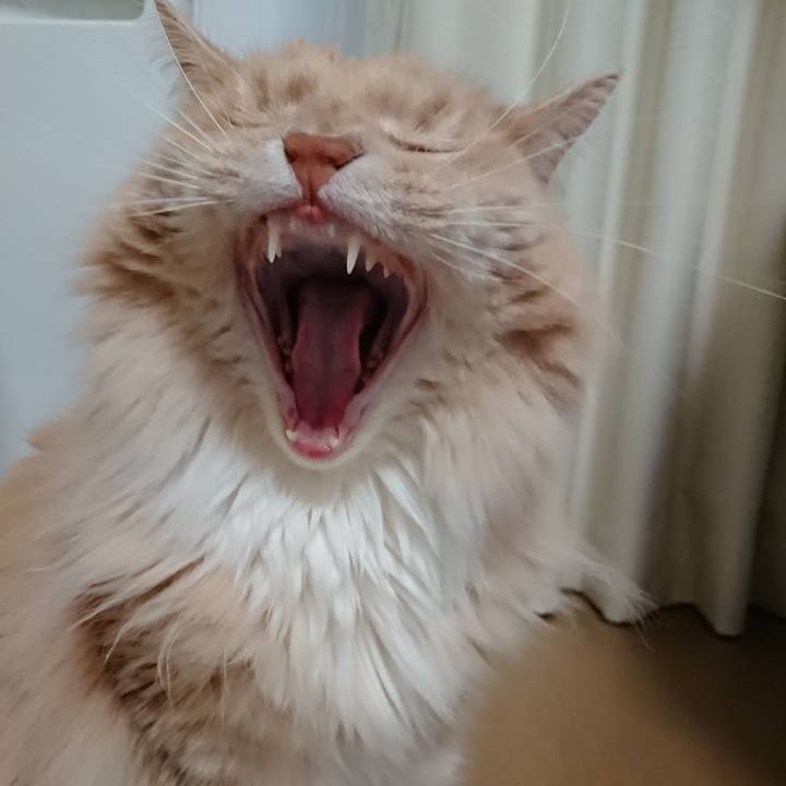 D4053ef1 31f0 4acc 961e 461041318878 1527001042695