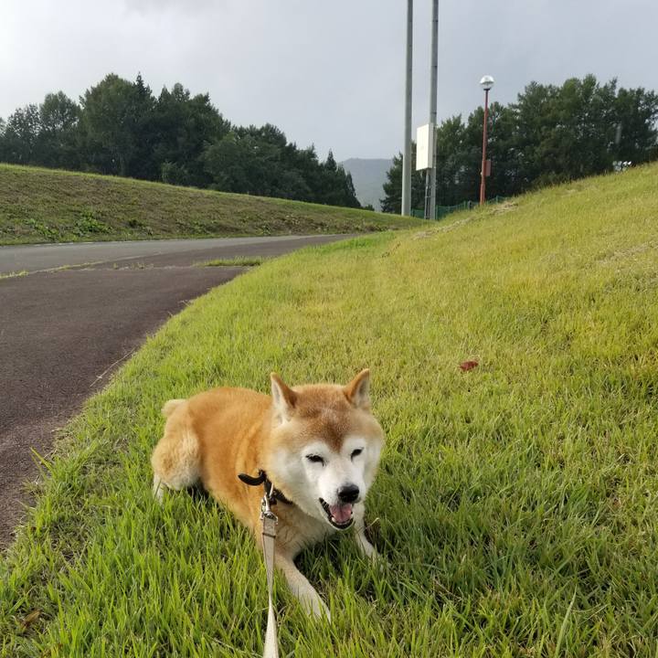 D40553e5 1daa 465a 9c17 a7feb4b85d61 1696574179117