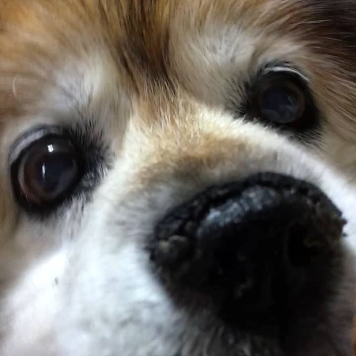 D405c0c8 b19e 4b9e af44 34688a68b273 1604477826607