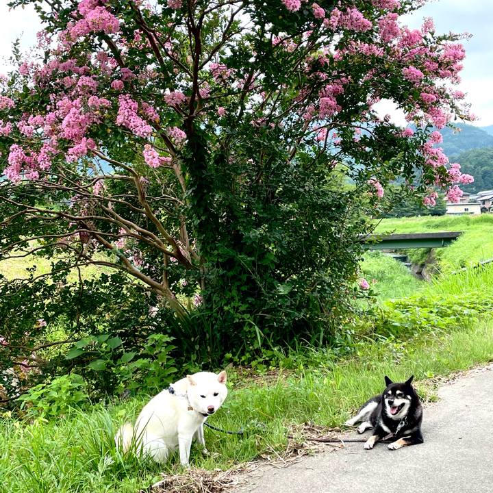 D405d35c 8f62 48f2 a59d 0bf4c4ee376e 1659669165847