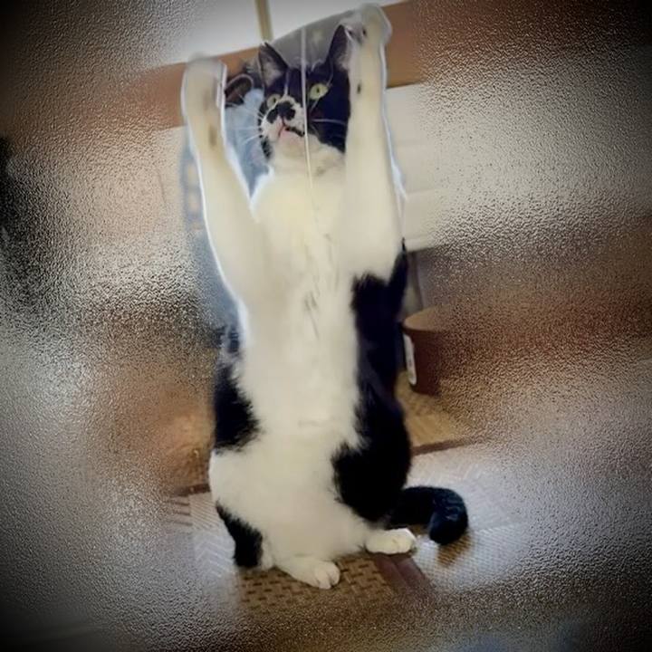 D405e2f4 febf 4a81 9307 b9fe52981a1a 1748759875569