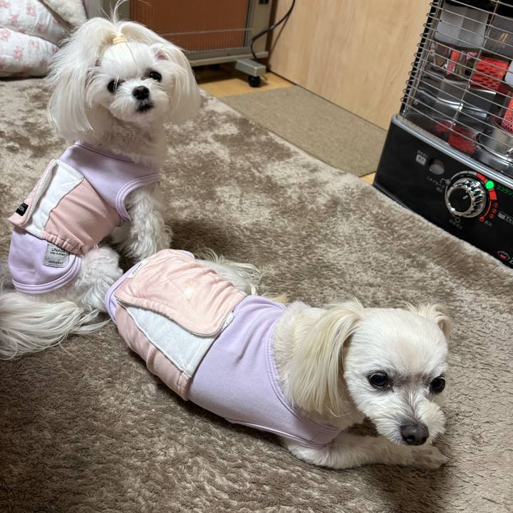 D405fa1e 7e79 4975 8f6f ba001136ef84 1764406850077