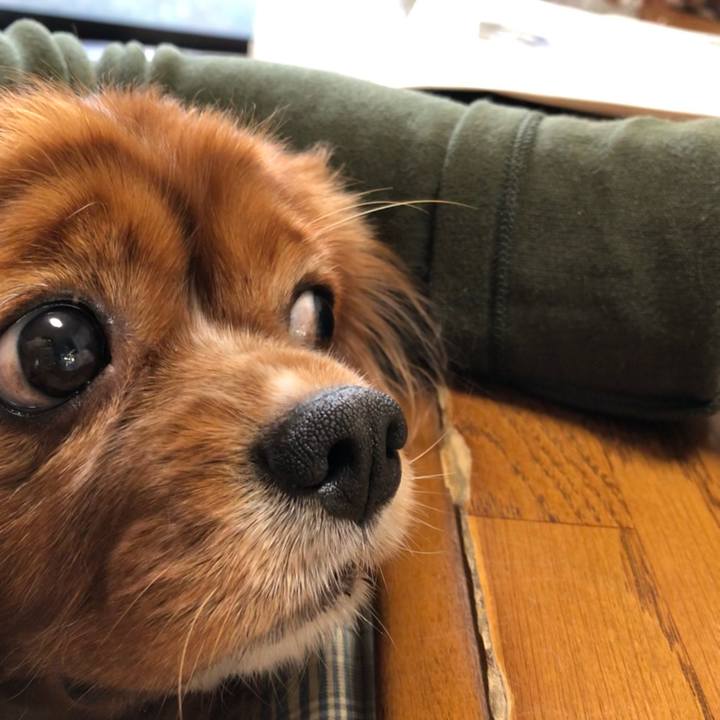 D405fe53 14fa 4e00 8dba 8be0d13cfb8a 1635028974113