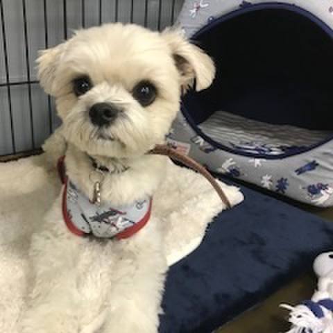 D40605d3 361e 412c 822c ffdc60252a8d 1511957782648