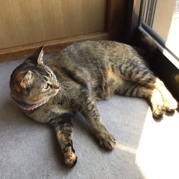 D4060a5c b190 4223 bcb8 90911a19f988 1620007396219