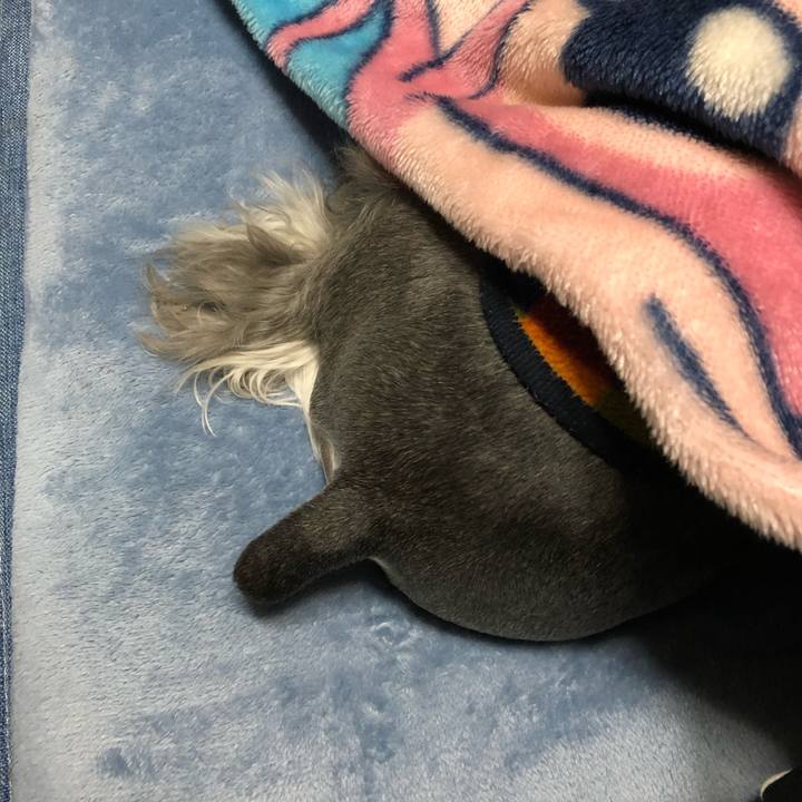 D40613f5 f495 4eb7 8697 640e13d17b58 1677595397082