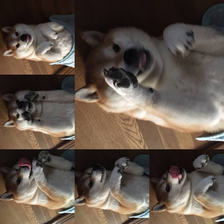 D406355c 210b 42c4 b9a6 dbfa17c3cd6f 1599098186908