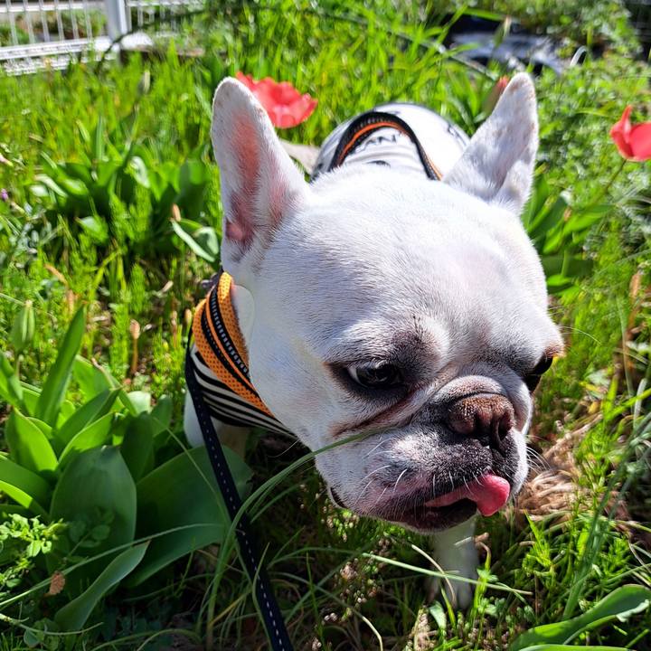 D40641dc 17fc 4543 a336 2e7637c5892d 1711762424255