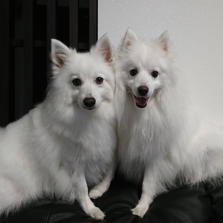 D4064dc6 d98b 4088 aafb a3d524743adb 1594965725699