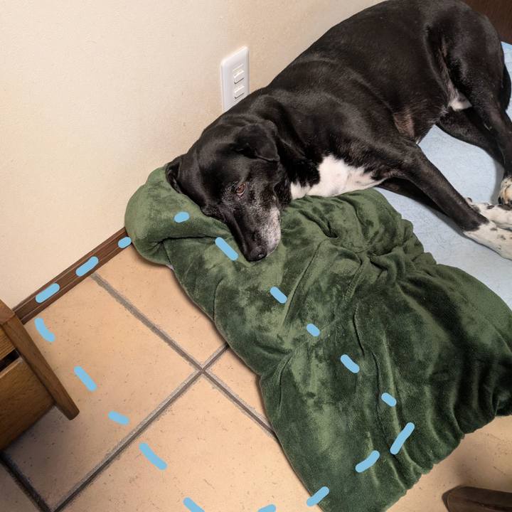 D4068195 7bd5 4e96 8028 0cbefeb148e8 1751761008060