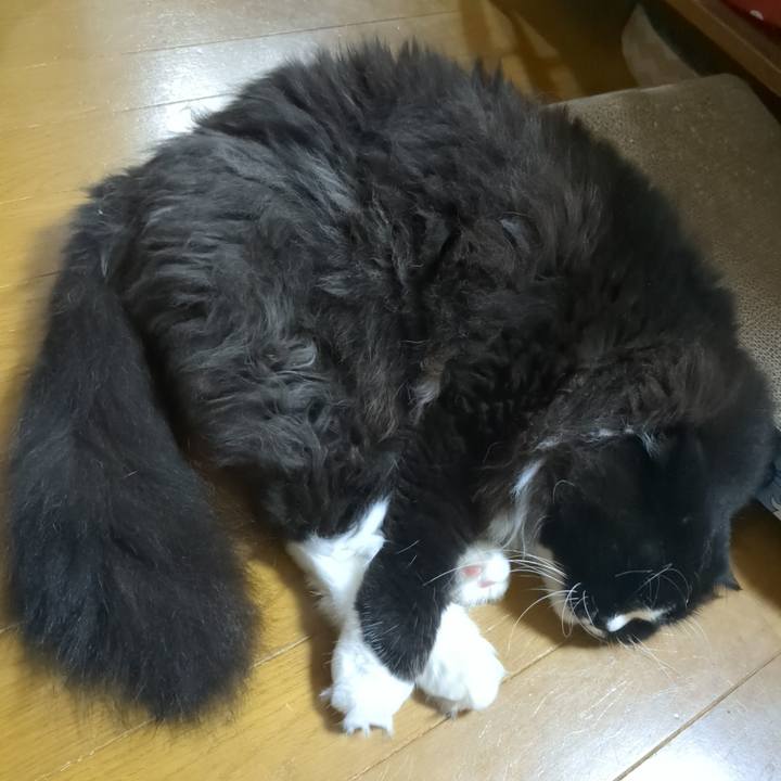 D40686a5 d9cc 4f34 822a 26f9fba74040 1757806754230