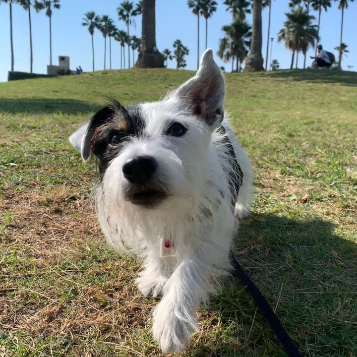 D4069642 c4c5 42cc 9bc2 7bfc9bafdc81 1699062994134