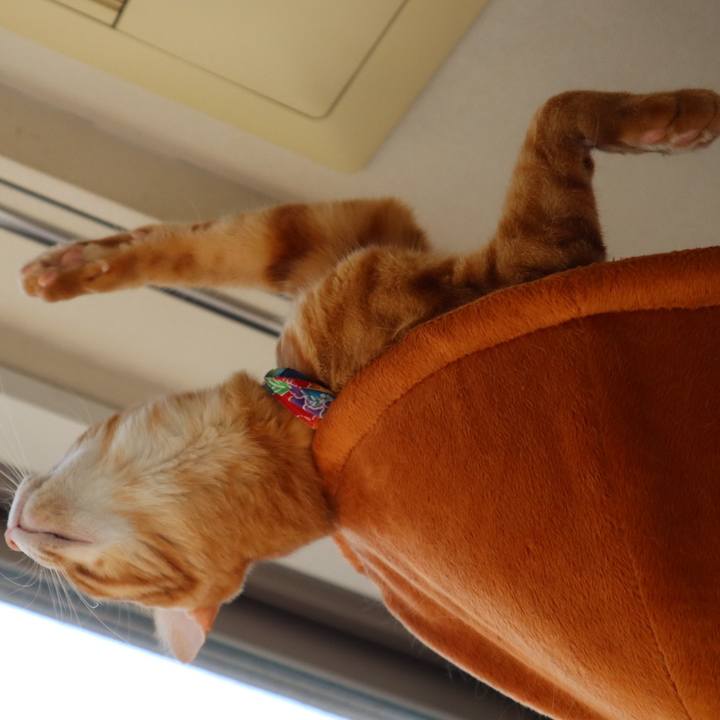 D406bed8 0d86 4655 be49 456d1b3abaa5 1642858567722