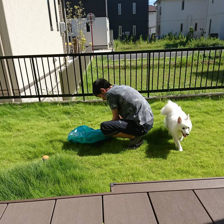 D406caca 73d3 43ed a6bd 381f22ebd228 1535176196074