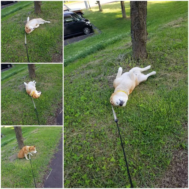 D407127e ae0f 4c4a 80d7 6f1bf6148c5e 1686988580451