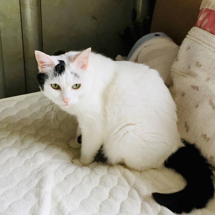 D407482a 4cdb 439a 85b4 6668c6bad495 1567489730533