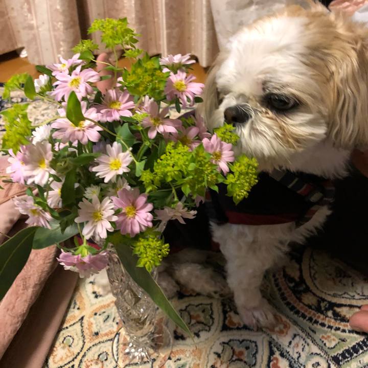 D40761f2 acec 49f1 864e 0856444af6a0 1523223057997