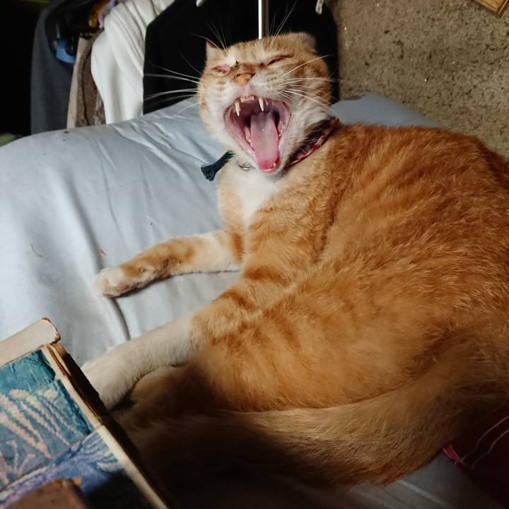 D4078b19 2536 4bfa 91dd ad3d94d9cf7b 1558857721207