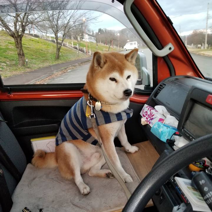 D407b659 2768 46bc 8ac9 9bc416324138 1639207703573