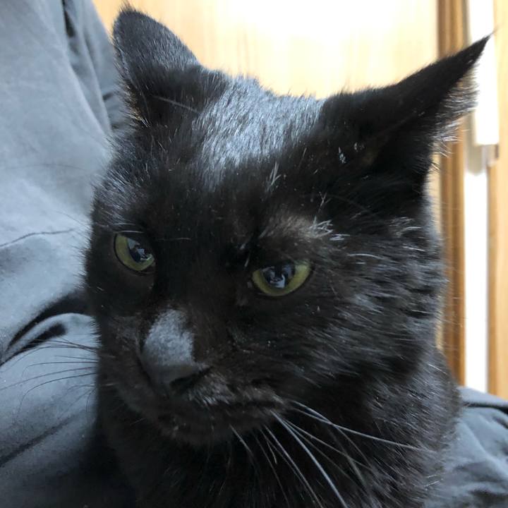 D407cb0a 34a9 448e a4d4 c5ec76cd12e2 1612388006902