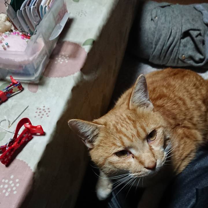 D407cbdb fbc3 4122 8110 6acf0b1a0857 1576746834177