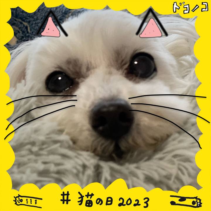 D4082e3c 2fb2 4b0e ab6e 27df215f67fe 1677064900295