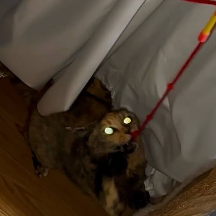 D40893a1 7032 4fbe 96ae cdf15cf11726 1765311850269