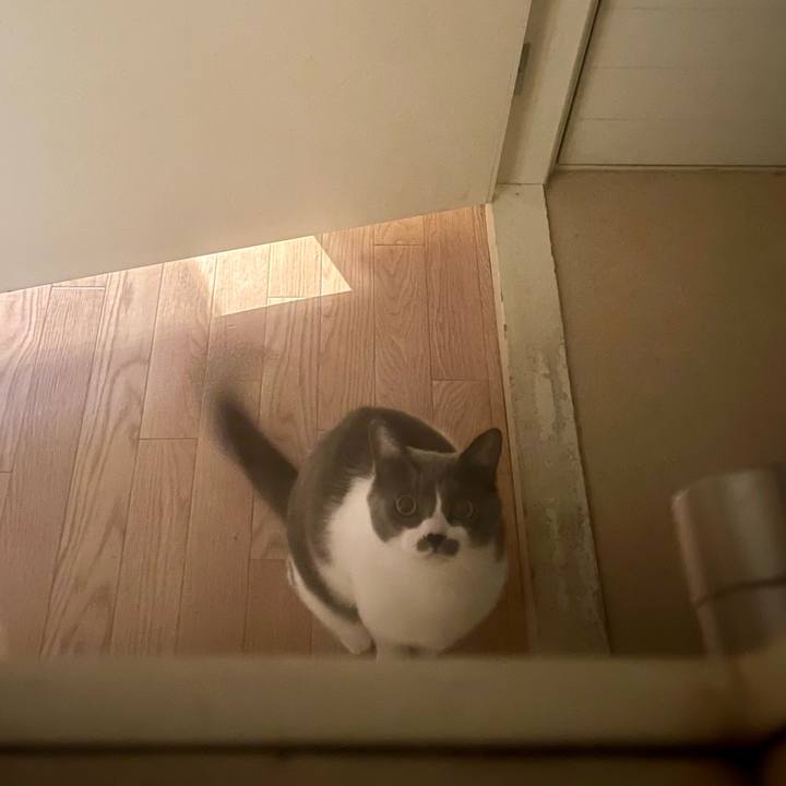 D408a0d0 9d35 498d aa2a c9908b1c13af 1701414729974