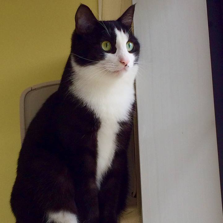 D408a795 3321 482f b00e f6a26eabdb09 1508820814874