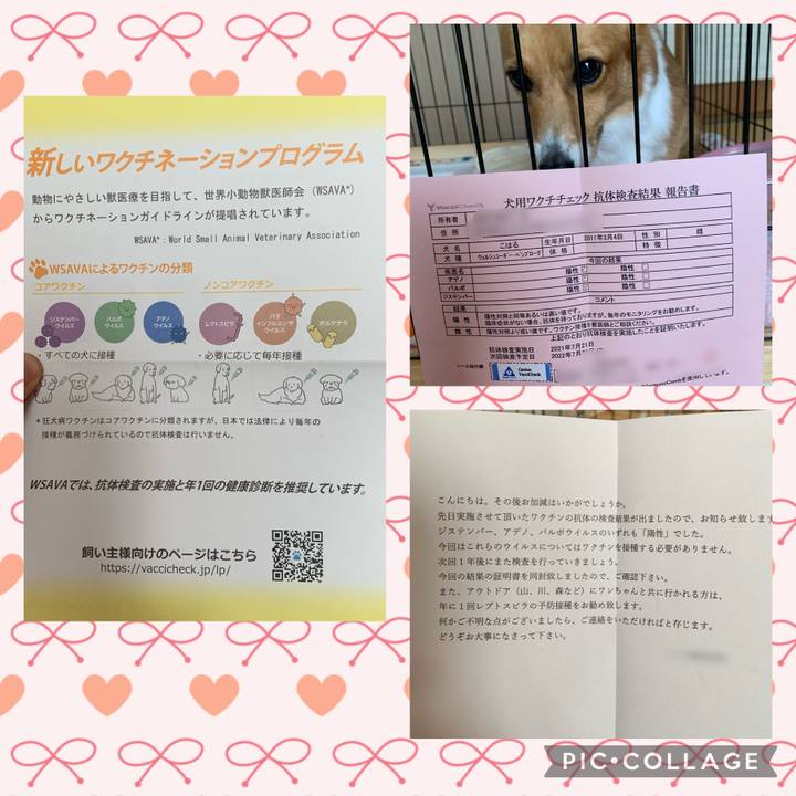 D408bffa 68f6 45b5 b842 e48ec4c2e05a 1627690695544